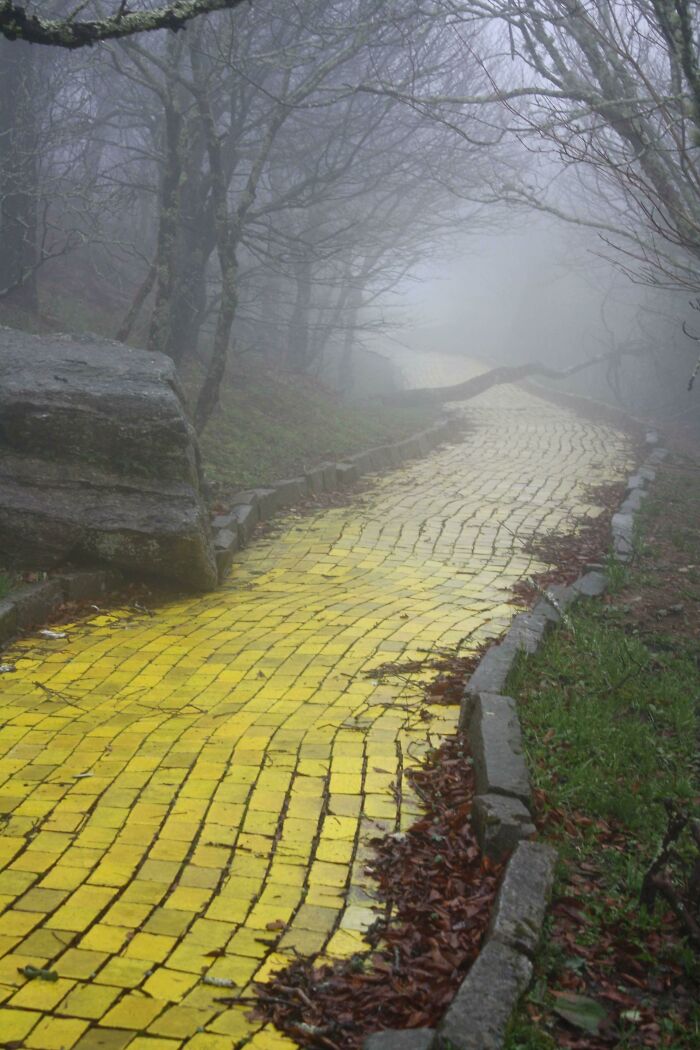 camino de ladrillos amarillos