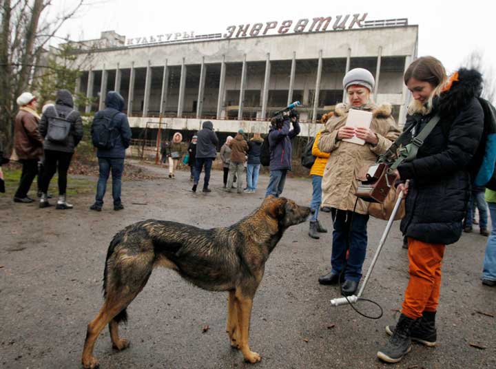 Los perros de Chernóbil