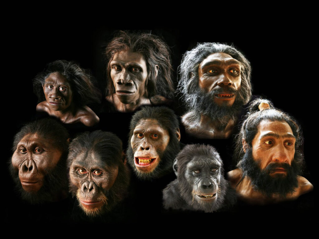 Evolución competitiva: nuevas teorías sobre el origen del hombre