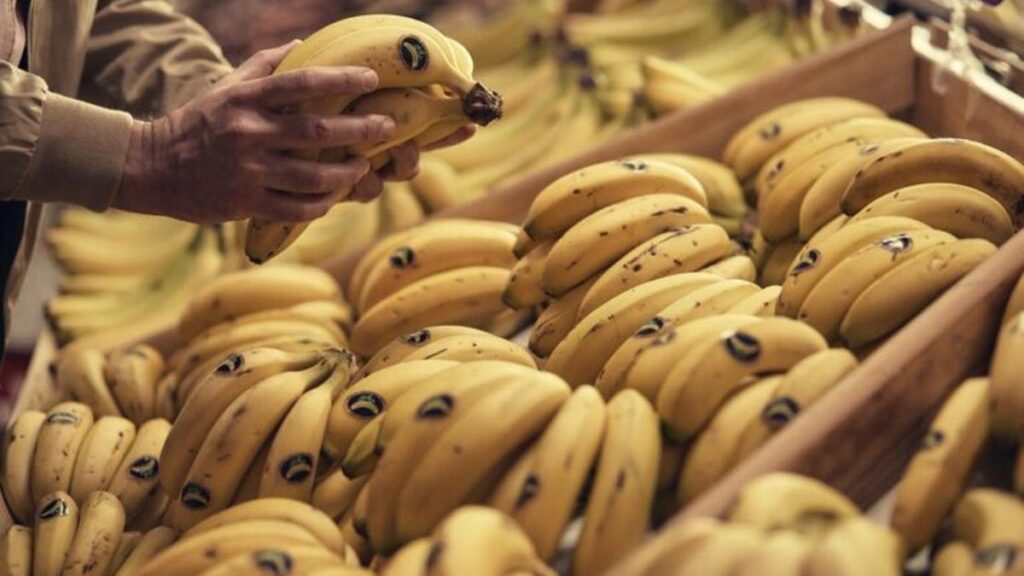 Plátanos: beneficios para la salud