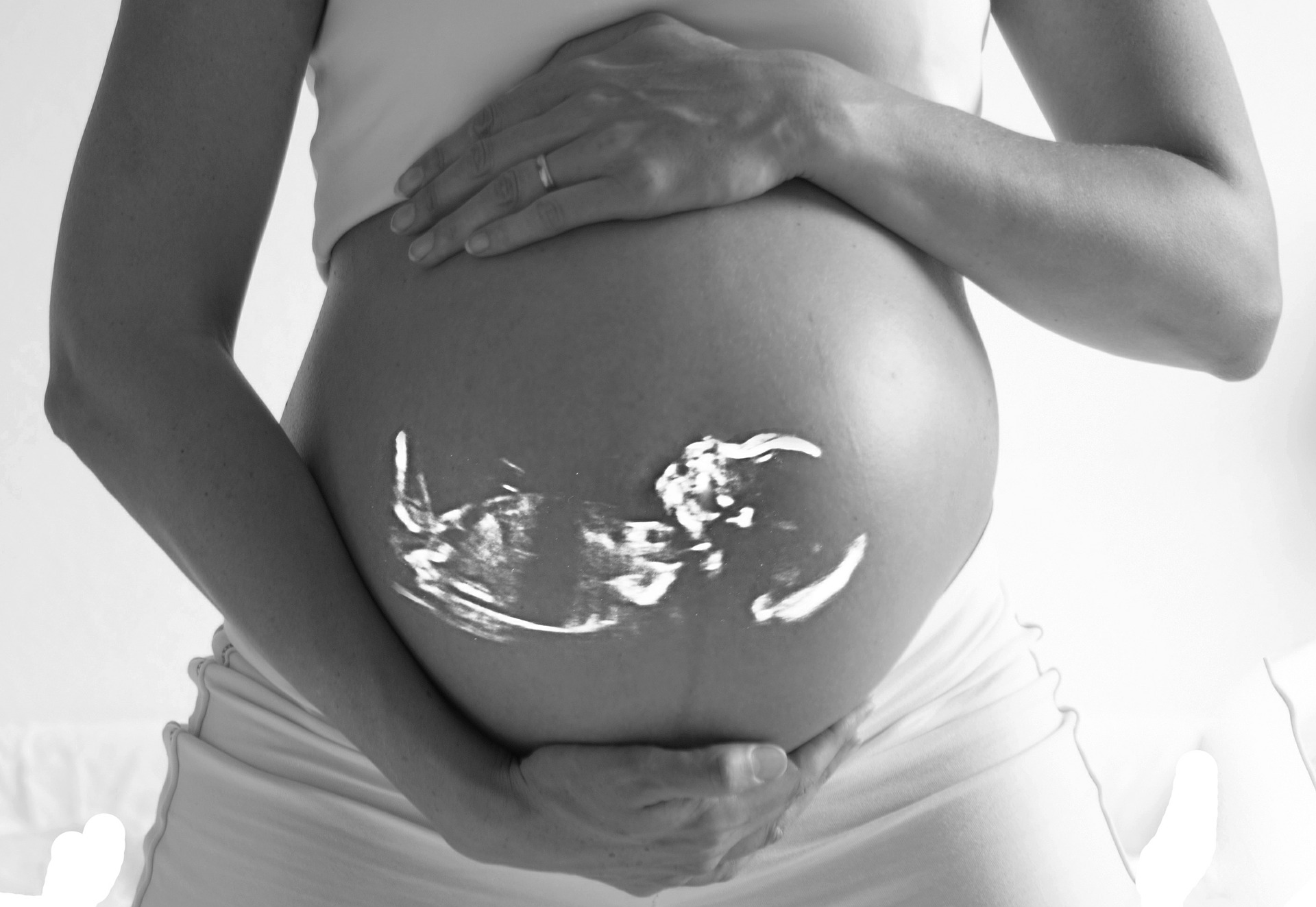 Placenta defiende las células del feto para protegerlo